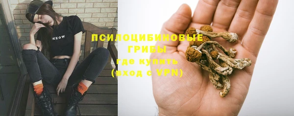 марки lsd Горно-Алтайск