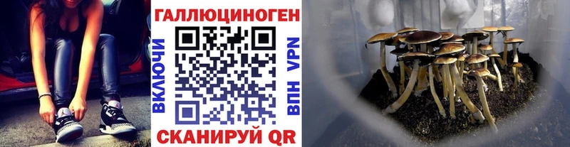 Купить закладки  Нюрба  Псилоцибиновые грибы Psilocybine cubensis 